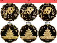 PCGS Photograde China iPad image 1