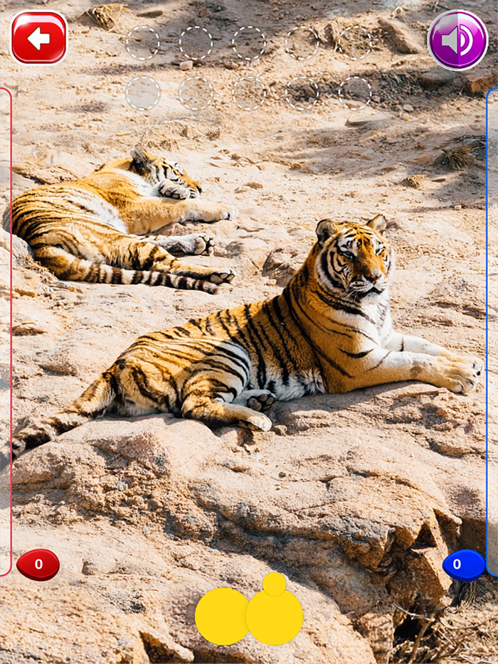 MagicBook Tiếng Việt