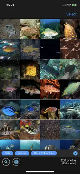 Game screenshot WhatFish, Identification Guide mod apk