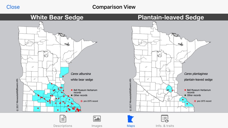 Minnesota Wildflowers Info. screenshot-4