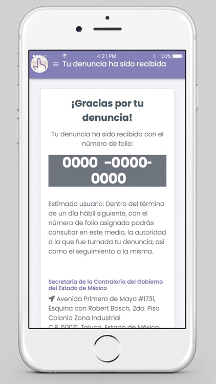 Denuncia EDOMEX screenshot-4