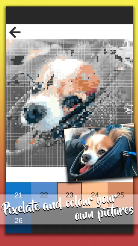 Pixel photo - Livre à colorier