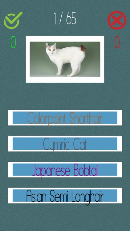Cat Quiz (60+ Breeds) screenshot-4