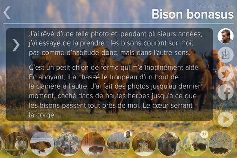 Bison bonasus screenshot 4