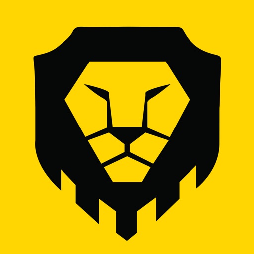 镖狮 - 营销推广 行家指路