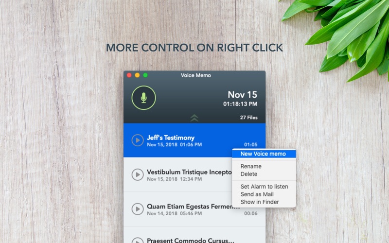 Voice Memo Screenshot