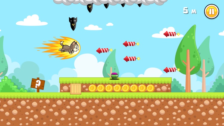My Pet Runner