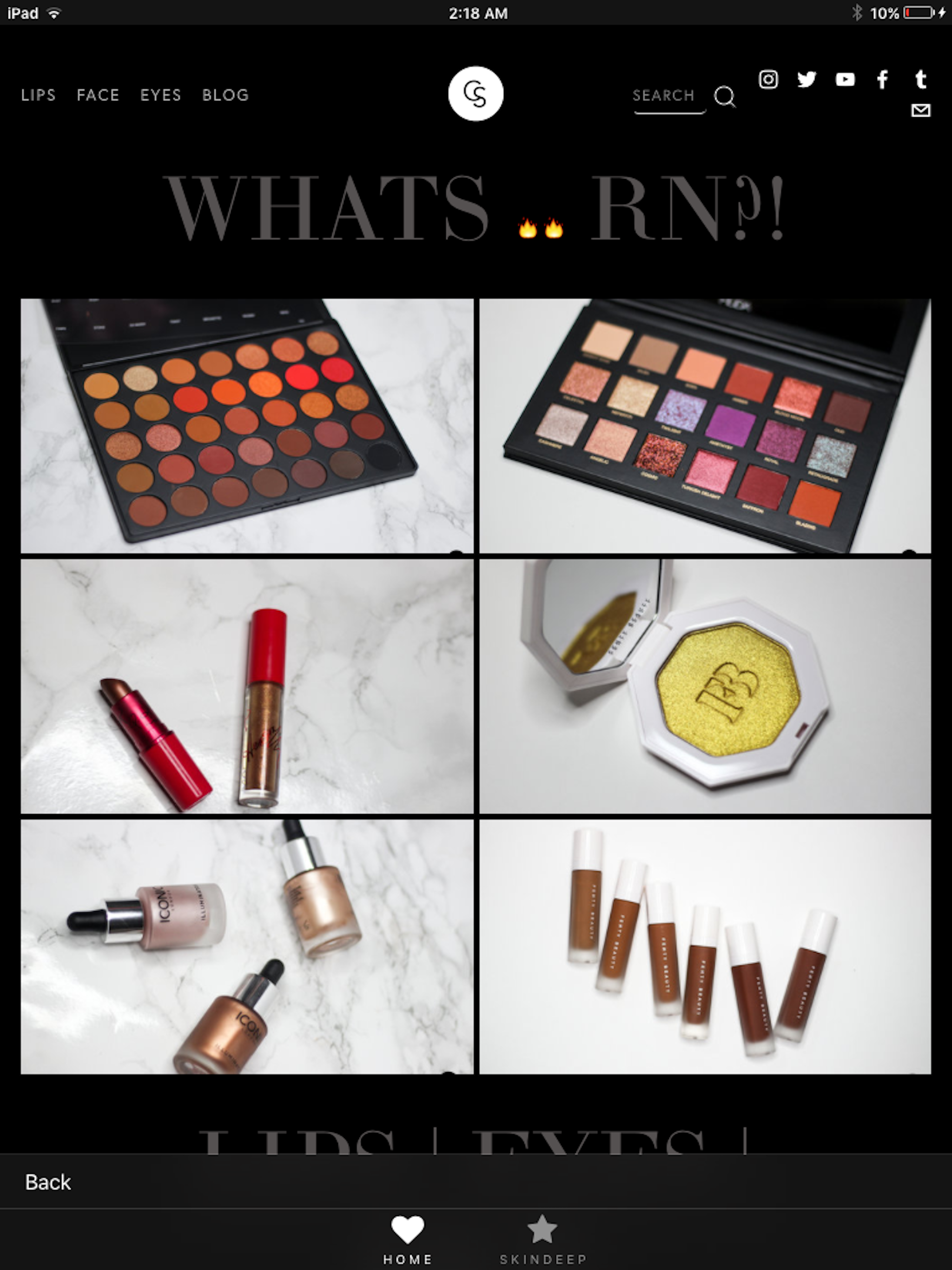 Cocoa Swatches