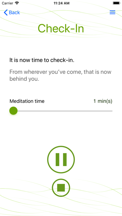 Screenshot #2 pour Mindful Check In
