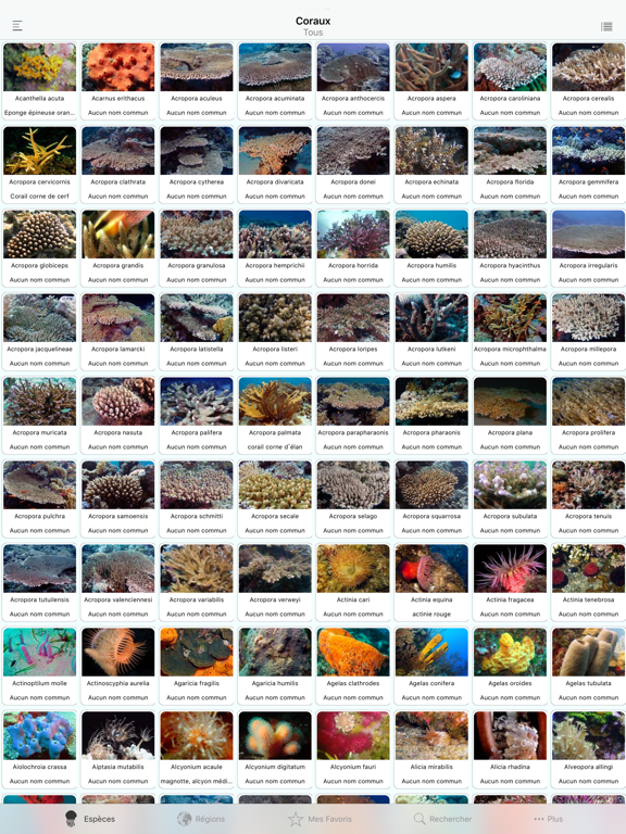 Screenshot #4 pour Corals, by Reef Life