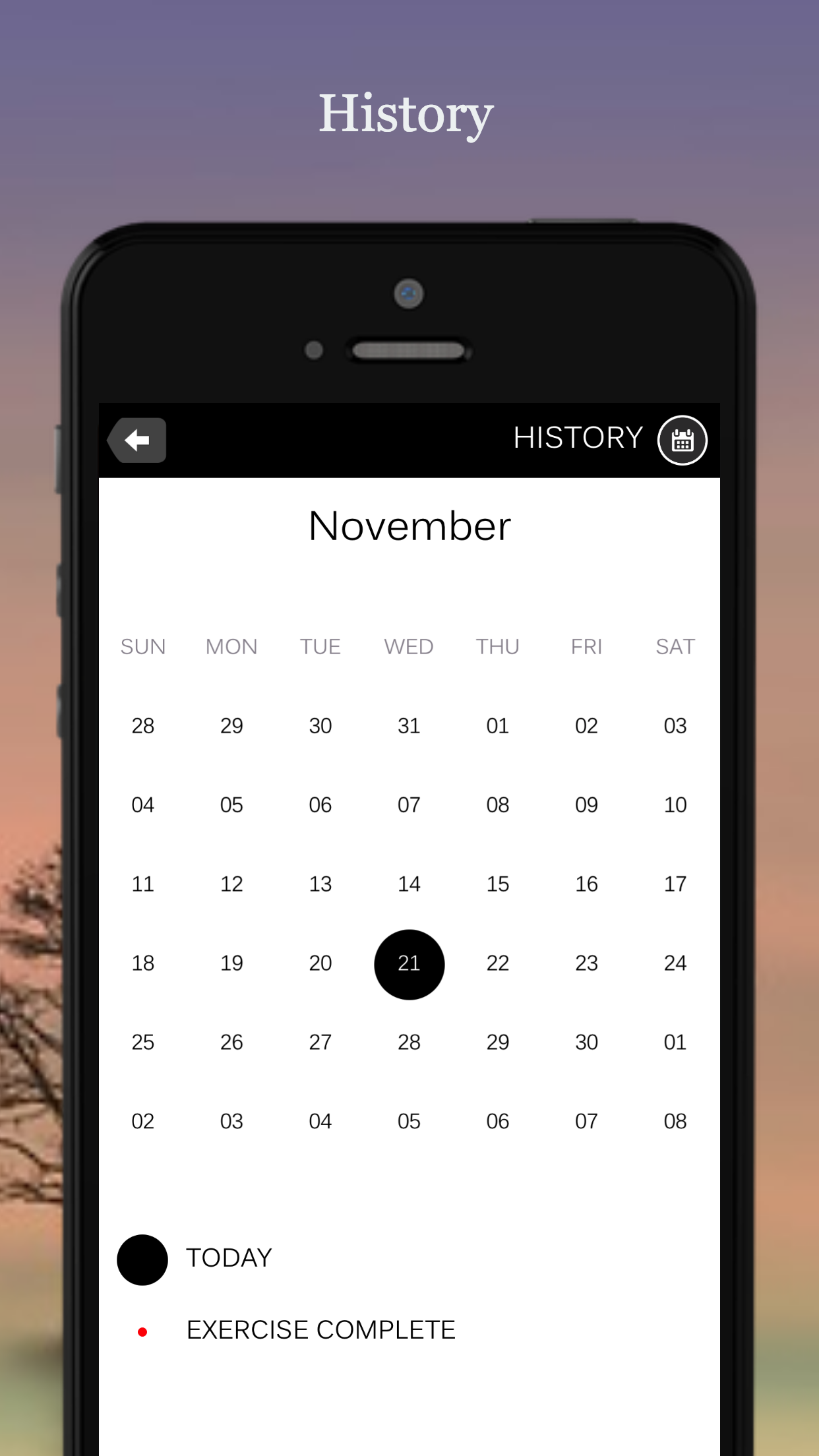 7 Minute Workout Fitness App screenshot 6