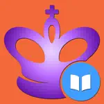 Chess. King's Indian Defense App Positive Reviews