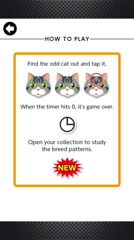 Odd Cat Out