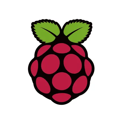 Raspberry Pi. Читы