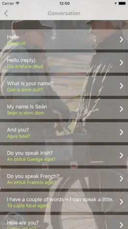Game screenshot Focal Me - Irish (Gaelic) hack