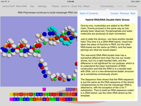 OnScreen Gene Transcription screenshot 4