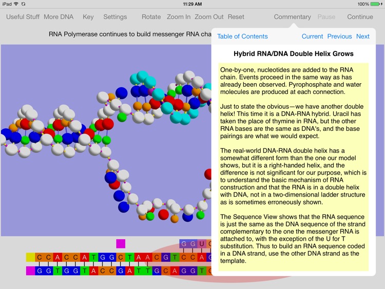 OnScreen Gene Transcription screenshot-3