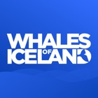 Whales of Iceland Audio Guide