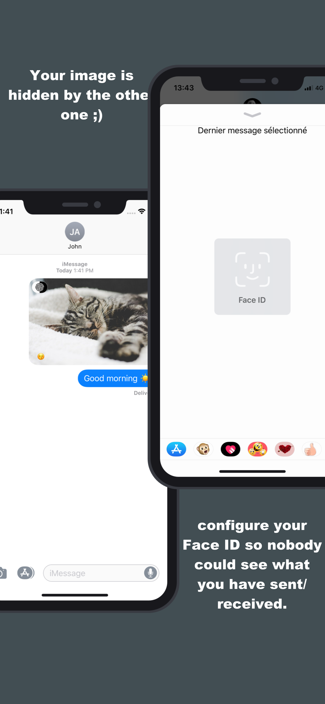 Hidden msg: hide your files screenshot 4