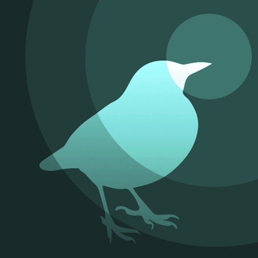 BIRD RADAR icon