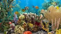 myreef 3d aquarium 2 hd problems & solutions and troubleshooting guide - 2