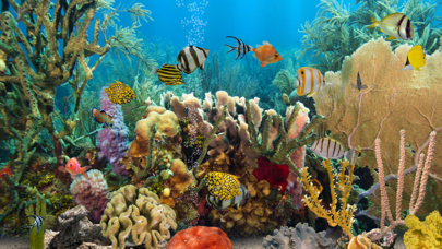 MyReef 3D Aquarium 2 HDのおすすめ画像1