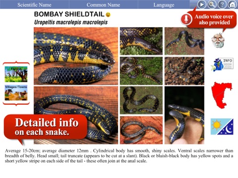 Snakes of India - náhled