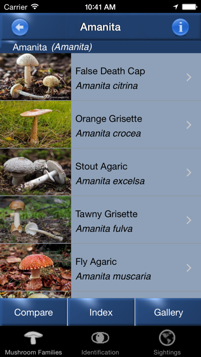 Screenshot #2 pour Mushroom Id Guide - UK