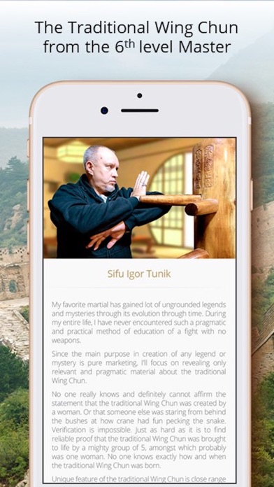 Traditional Wing Chun screenshot 2