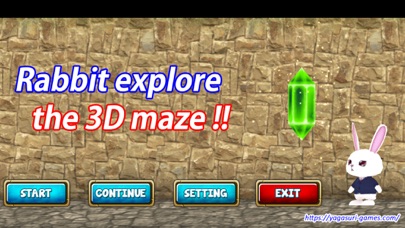 Rabbit explore the 3D maze!! screenshot 3