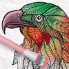 Animals Coloring Book 2018