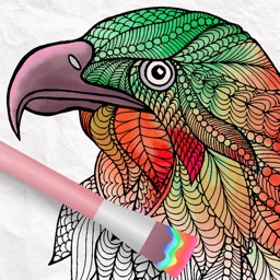 Animals Coloring Book 2018