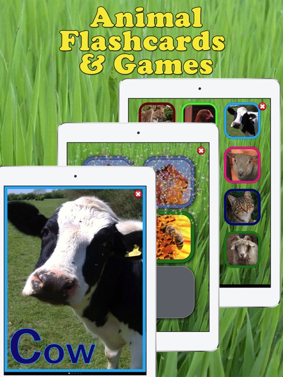Screenshot #4 pour Play & Learn Animal Flashcards