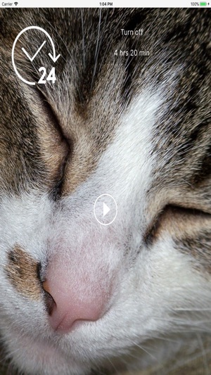 Noise store lite(圖3)-速報App