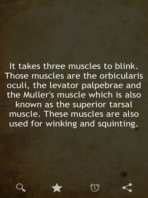 Amazing Human Body Facts