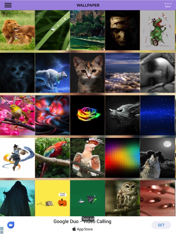 Screenshot #4 pour Wallpaper - Animal,Bird,Funny