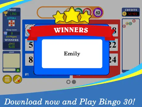 Bingo Thirty™