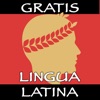 Lingua Latina Nouns: Academia