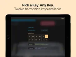 Harmonica iPad image 3