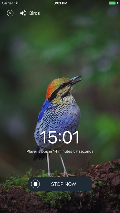 Relax Sounds - Relaxing Nuature & Ambient Melodies screenshot-3