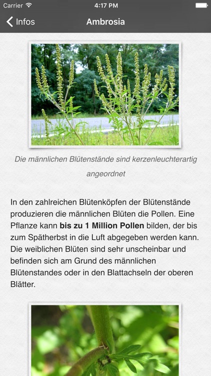 Ambrosia SCOUT screenshot-4