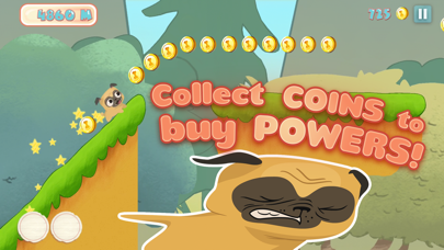 How to cancel & delete Pug Run from iphone & ipad 4