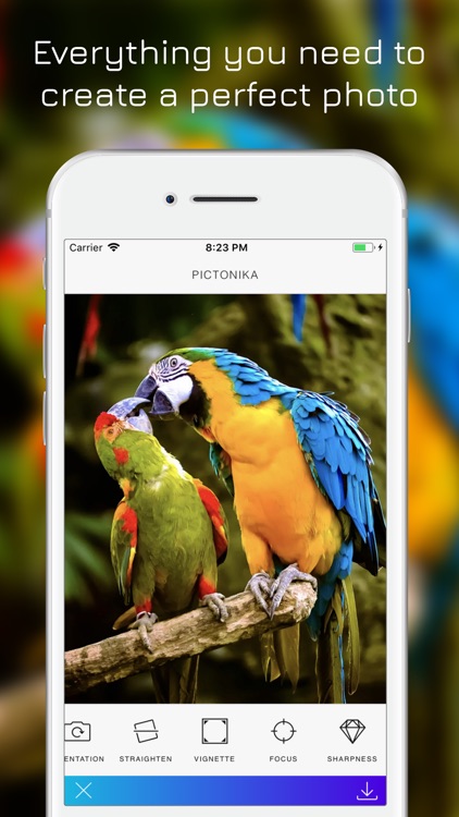 Pictonika screenshot-4