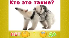 Животные для детей! lite айфон картинки 2