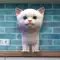 Cattery anmeldelser