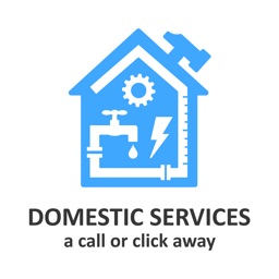 Domestic Services