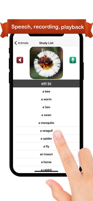Learn Swedish *(圖2)-速報App