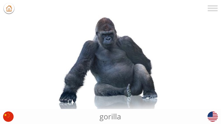 Play and Learn CHINESE