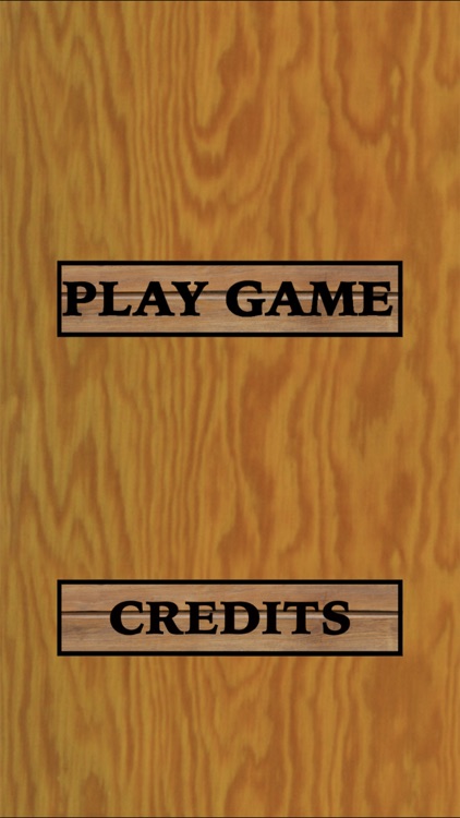 Small Ball Maze screenshot-3