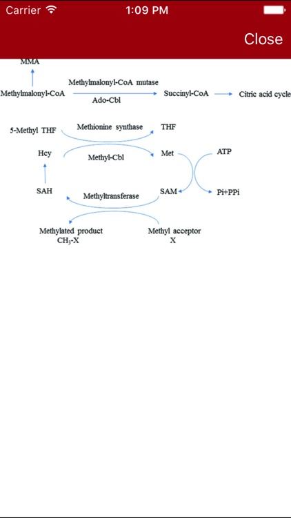 Clinical Chemistry screenshot-4